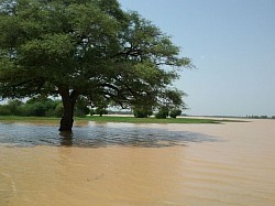 Lac Madarounfa