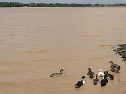 Autour Lac Madarounfa