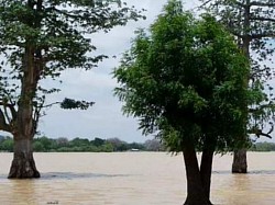 Lac Madarounfa pendant la saison des pluies