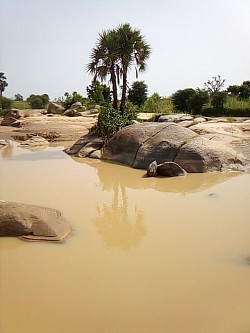 N'Yelwa Madarounfa-Region Maradi