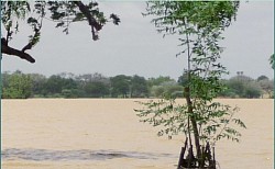 Lac Madarounfa Région Maradi_Niger