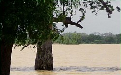 Lac Madarounfa_Maradi_Niger