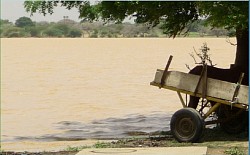 Lac Madarounfa_Maradi_Niger